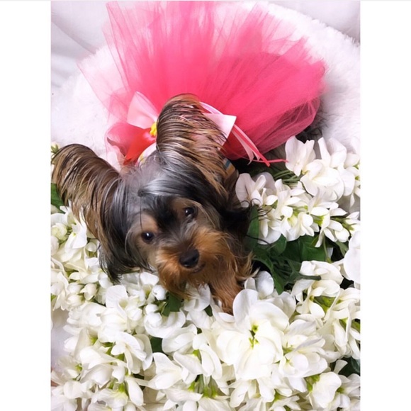 Meet Your:
Top Seller💋Buyer - Picture 13 of 15